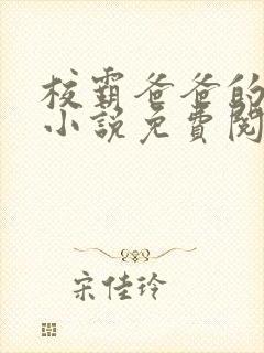 校霸爸爸的秘密小说免费阅读