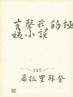 有声我的极品小姨小说封面