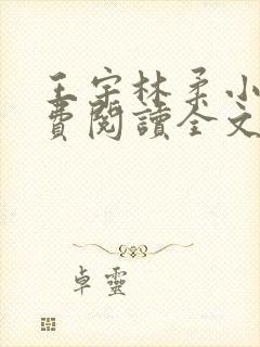 王宇林柔小说免费阅读全文最新章节封面