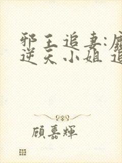 邪王追妻:废材逆天小姐 追书