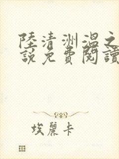 陆清洲温之夏小说免费阅读最新章节封面