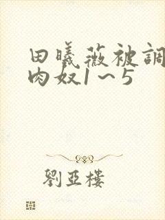 田曦薇被调教成肉奴1～5