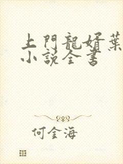 上门龙婿叶辰的小说全书封面