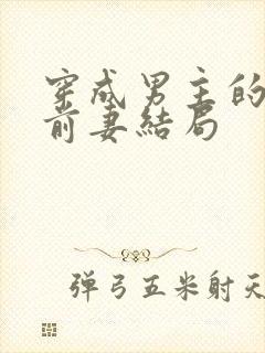 穿成男主的炮灰前妻结局