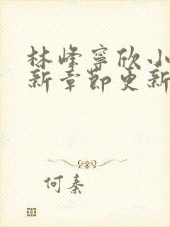 林峰宁欣小说最新章节更新封面