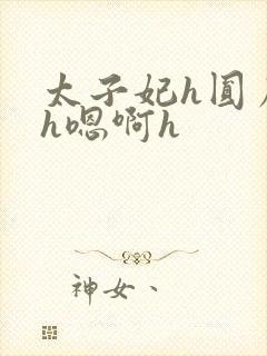 太子妃h圆房～h嗯啊h