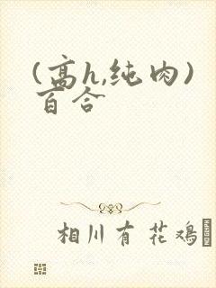 (高h,纯肉)百合