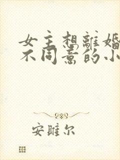 女主想离婚男主不同意的小说