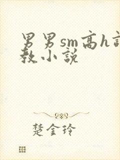 男男sm高h调教小说