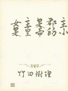 女主是郡主男主是皇帝的小说