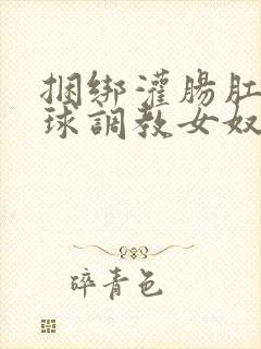 捆绑灌肠肛珠口球调教女奴母狗的调教小说