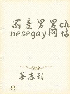 国产男男chinesegay网站