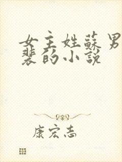 女主姓苏男主姓裴的小说