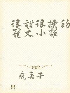 很甜很撩的校园宠文小说