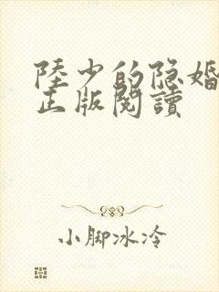陆少的隐婚罪妻正版阅读