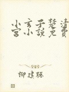 小玄子楚清玄后宫小说免费阅读