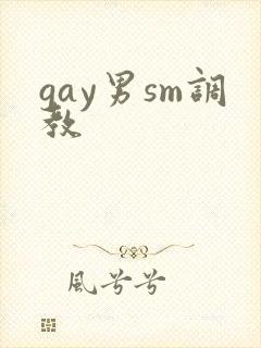gay男sm调教