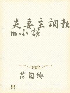 夫妻主调教 sm小说