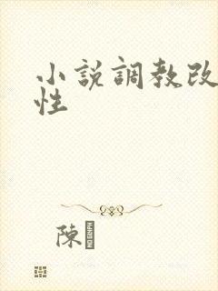 小说调教改造双性