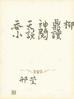 吞天神鼎柳无邪小说阅读