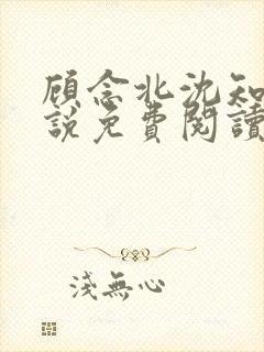 顾念北沈知宁小说免费阅读最新章节封面