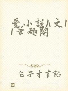 爱小说h文1v1笔趣阁