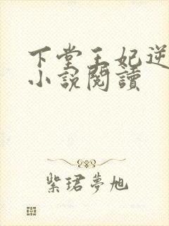 下堂王妃逆袭记小说阅读封面