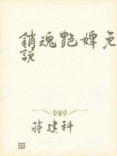 销魂艳婢免费小说