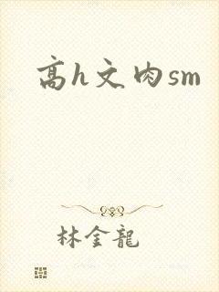 高h文肉sm