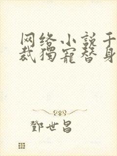 网络小说千亿总裁独宠替身娇妻