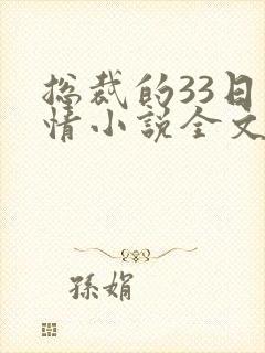 总裁的33日索情小说全文免费