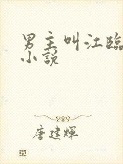 男主叫江临舟的小说