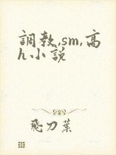 调教,sm,高h小说