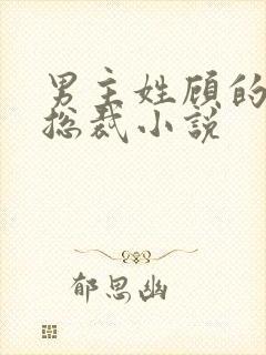 男主姓顾的现代总裁小说