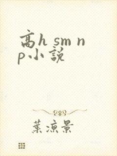 高h sm np小说