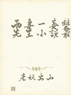 两妻一妾双头角先生小说最新章节更