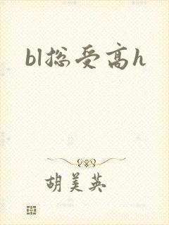 bl总受高h