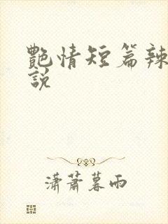 艳情短篇辣文小说