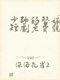 少帅的替嫁新娘短剧免费观看封面