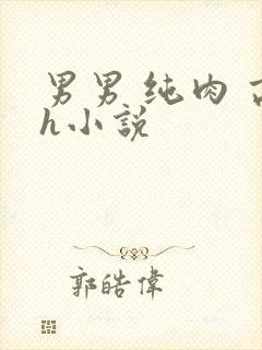 男男 纯肉 高h小说