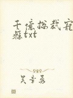 千亿总裁宠妻成瘾txt封面