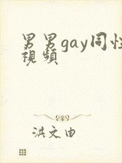 男男gay同性视频封面