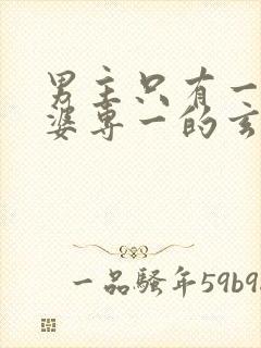 男主只有一个老婆专一的玄幻小说