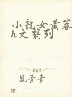 小龙女黄蓉高辣h文系列