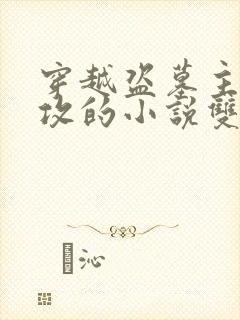 穿越盗墓主受多攻的小说双男