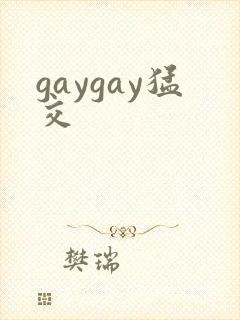 gaygay猛交