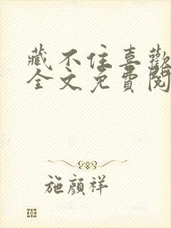 藏不住喜欢小说全文免费阅读封面