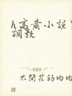 h高黄小说男男调教