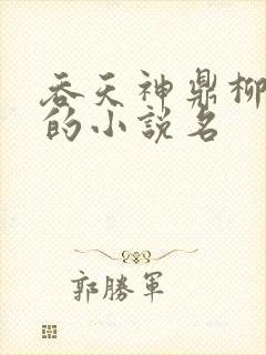 吞天神鼎柳无邪的小说名封面