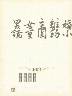 男女主离婚后破镜重圆的小说